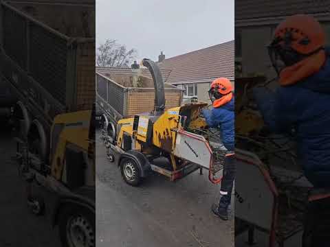 Schliesing 175 MX woodchipper - Image 2