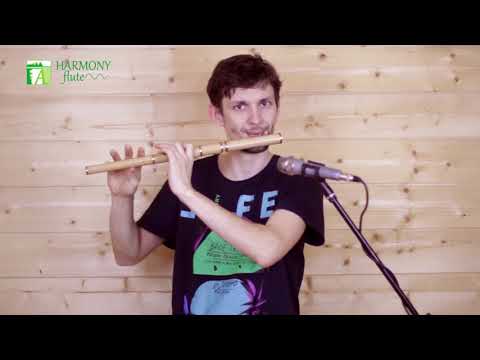 Irish Flute - buy harmonyflute.com