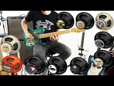 ONE Fender Twin - TEN Speakers | Comparison Demo (Celestion, JBL, Eminence, WGS, Weber)