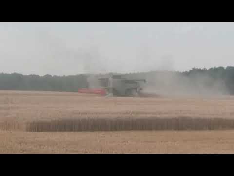 Getreide - Ernte 2019