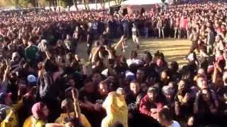 A.N.I.M.A.L - Barrio Patrón - Rock al Parque 2015 (audio de cámara)