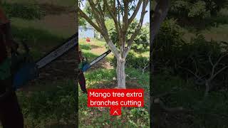 Download lagu mango tree unwanted branches cutting #ytshorts #shorts #shortvideo #viral mp3