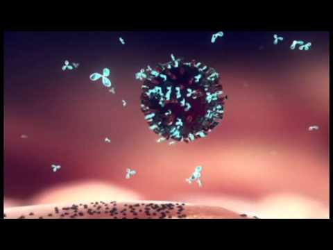 PRIST- ZaRaZaRaZaRa (feat.Remeti,Psiho Mistik)