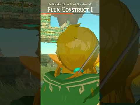 Did you know this about Flux Constructs in Tears of the Kingdom?