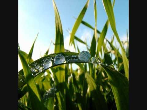 Duni Mi Duni Ladjane  - Teodulija I Madam Piano