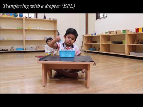 Transferring water (with a dropper) -- Mont Ivy Preschools