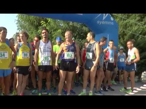 ULIVI E VIGNETI 2016