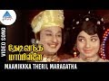 Thedi Vandha Mappillai Old Movie Songs | Maanikka Theril Video Song | MGR | Jayalalitha | MSV