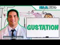 Neurology | Gustation (Taste Pathway)