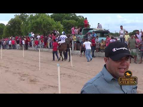 CORRIDA DE CAVALOS - CLASSIFICATÓRIAS TORNEIO DE POTROS MESTIÇOS 2019 - RORAIMA