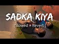 Sadka [Slowed+Reverb] | I Hate Luv Storys | Lofi | Textaudio