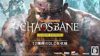Warhammer: Chaosbane [Slayer Edition] video 1