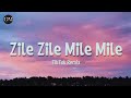 Zile Zile Mile Mile TikTok Remix