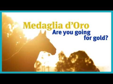 Medaglia d'Oro, one of the world's elite stallions