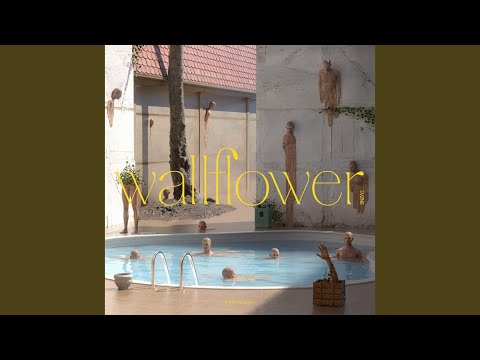 Video thumbnail for pool