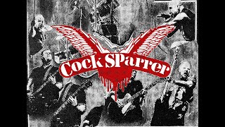 Download lagu Cock Sparrer - We're coming back | Bass Cover with Tab mp3