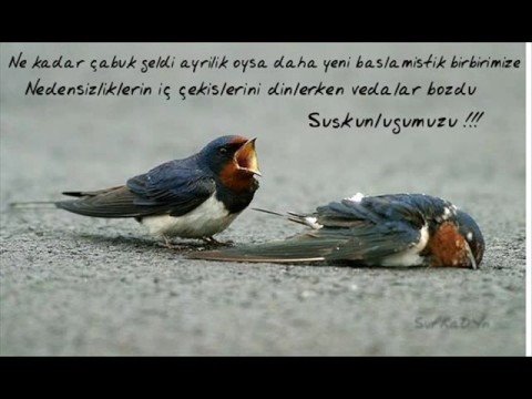 Dj Serco Feat Mc-Ünal-Yalnızım-2008