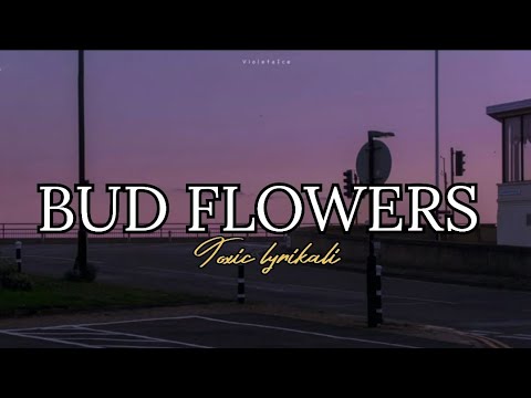 BUD FLOWERS _OFFICIAL LYRICS VIDEO_TOXIC LYRIKALI