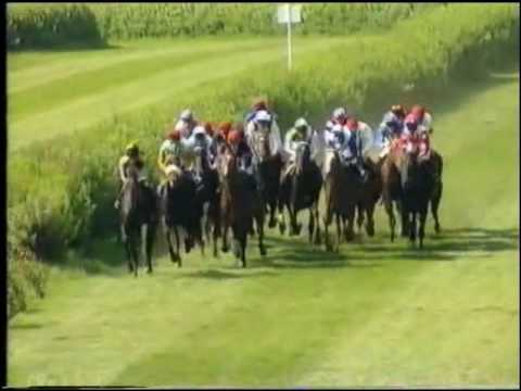 1995年ドイツ・ダービー　All My Dreams