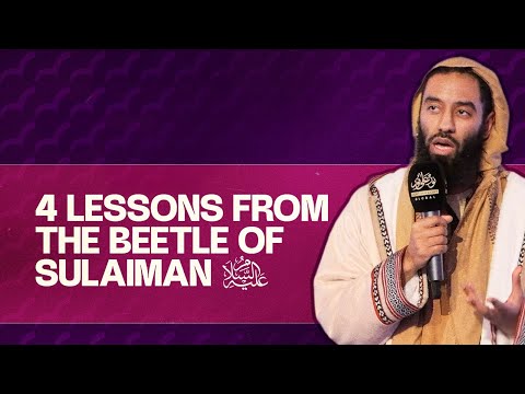 Four Lessons from the beetle of sulaiman Abu T London