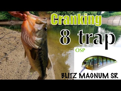 【Bass Fishing】Cranking 8 trap 【OSP】【Eight Trap】【Pond Fishing】