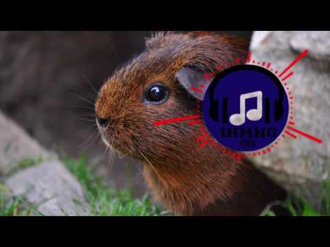 Casey Calhoun - Classic (Used by Casey Neistat) [Vlog Music] (1 Hour Loop)