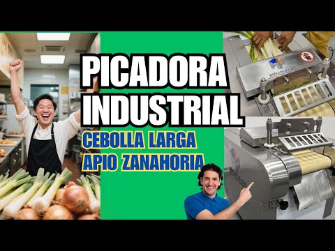 Picadora Industrial de Cebolla y Verduras