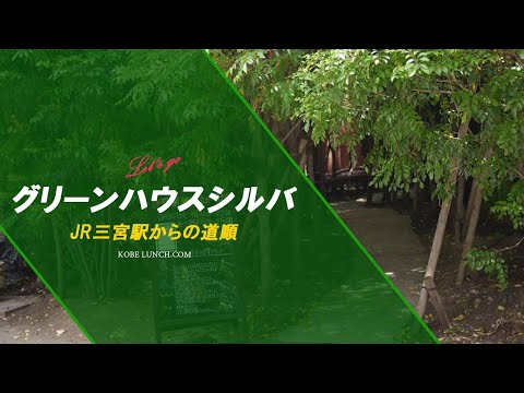 【神戸三宮に森カフェ!?】グリーンハウスシルバでランチ【緑に囲まれて】 | 神戸ランチドットコム