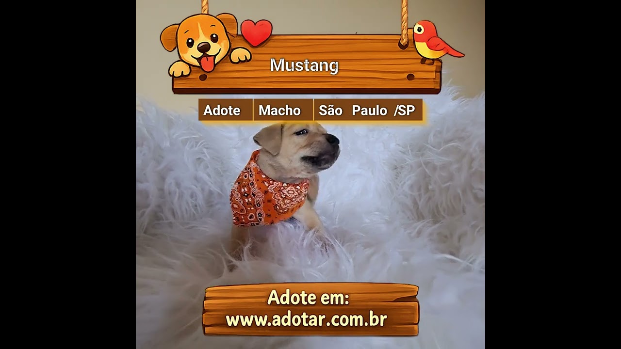 Cachorro raça SRD-ViraLata idade Abaixo de 2 meses nome Mustang