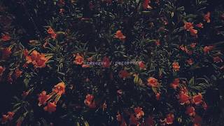 Preserve Music Video
