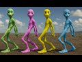 Lliance Dance Episode 1 Trending Dance Challenge