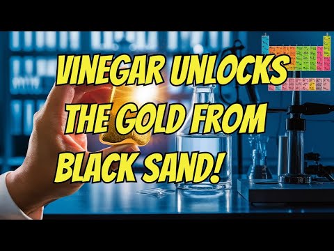 Vinegar Extracts Gold From Black Sand!