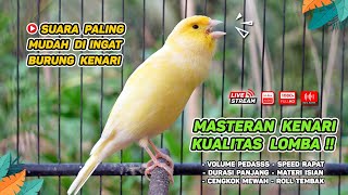 Download lagu Kenari GACOR NGEREK‼️ Masteran Kenari PAUD dan Pancingan Kenari MACET BUNYI dan Betina NGIWIR - 152 mp3 Download lagu Kenari GACOR NGEREK‼️ Masteran Kenari PAUD dan Pancingan Kenari MACET BUNYI dan Betina NGIWIR - 152 mp3