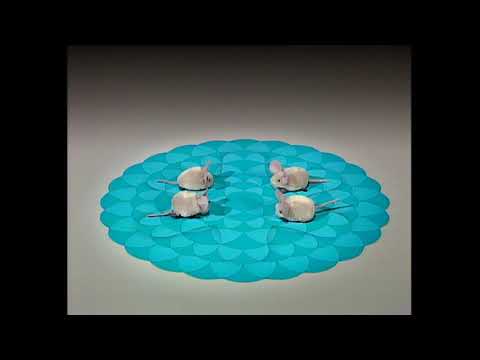 Tik Tak #330   Your toddler's favourite animation show