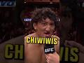 Chiwiwis Ufc Shorts