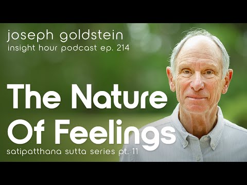 Buddhism & Emotions  – Joseph Goldstein's Satipatthana Sutta Series Pt. 11 – Insight Hour Ep. 214