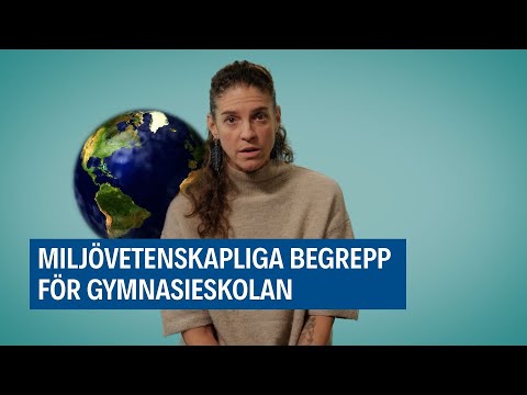 Hur påverkas ekosystemtjänster av plastförorening?