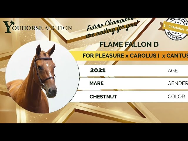 Flame Fallon homevideo