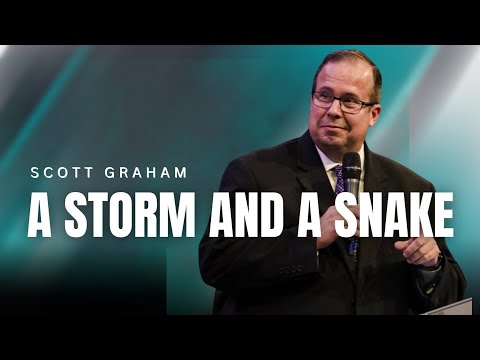 Scott Graham - A STORM AND A SNAKE