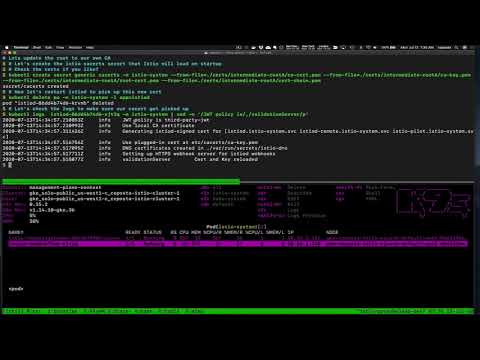Istio 1.6 Deep Dive Certificate Rotation - Part 1