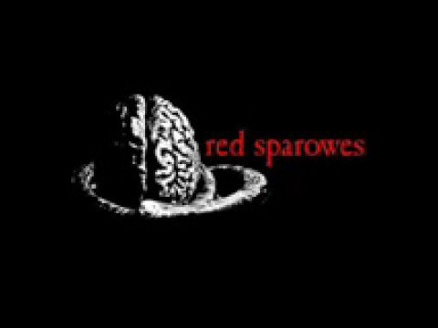 Red Sparowes  - The Fear Is Excruciating, But Therein Lies the Answer