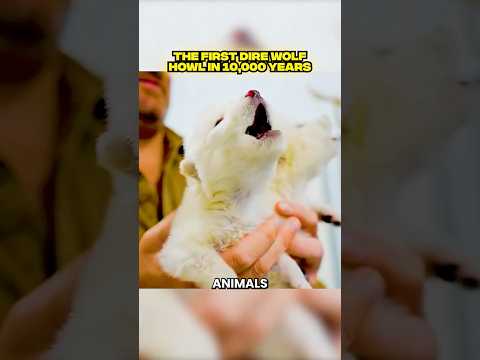 Extinct Dire Wolf brought back to Life