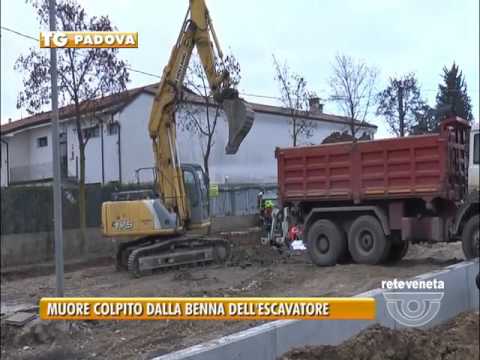 Elleboro da articolazioni Sintomi hip coxartrosi e il trattamento del bambino
