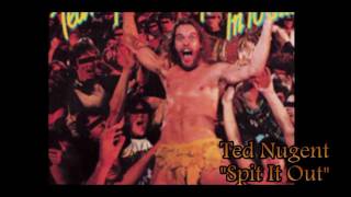 Ted Nugent "Spit It Out" ~Srceam Dream~ abum