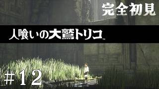 【初見プレイ】目が覚めたら大きなワシがいた Part.12【人喰いの大鷲トリコ/ネタバレ注意】