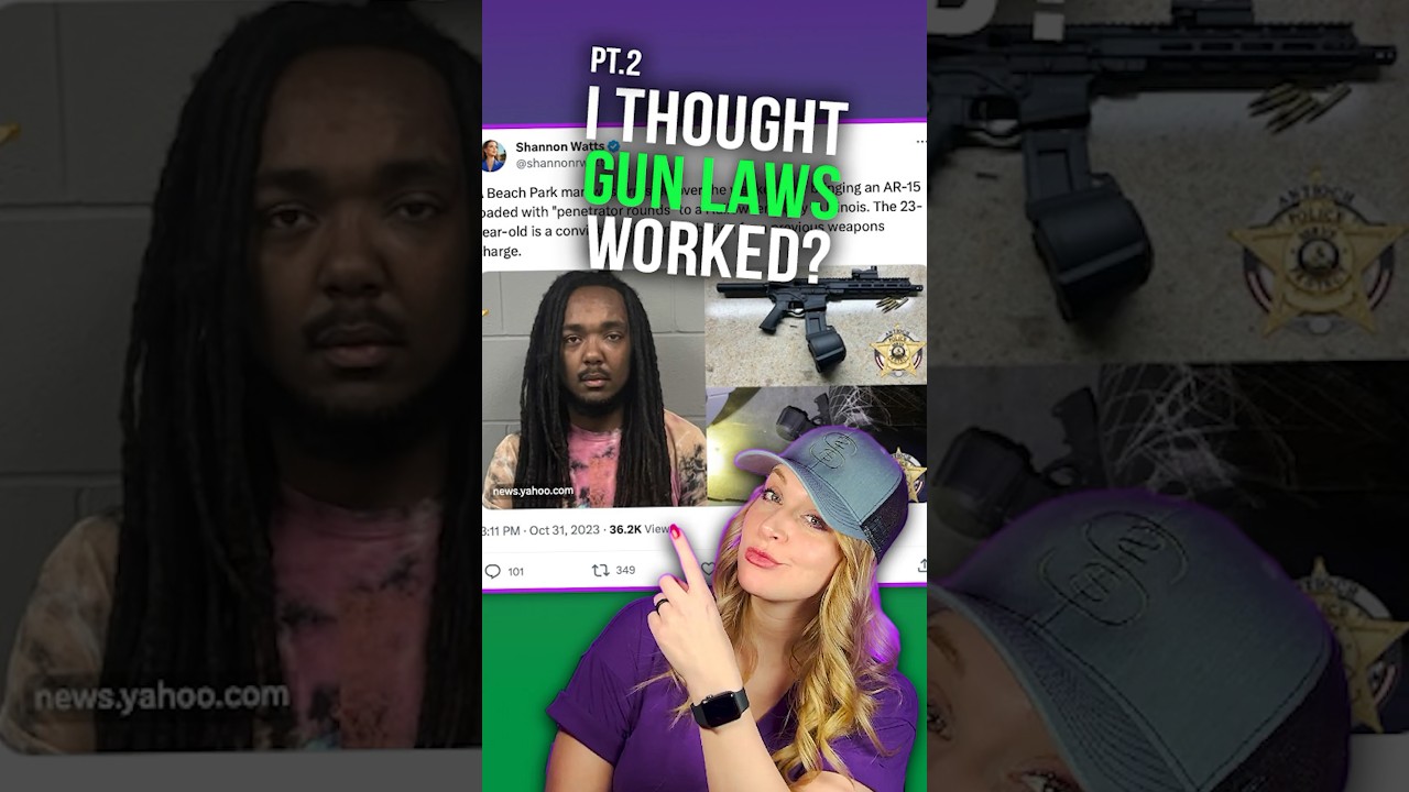 Gun Laws: All Signs lead to FAILURE #shortsvideo  #shortsfeed  #shorts
