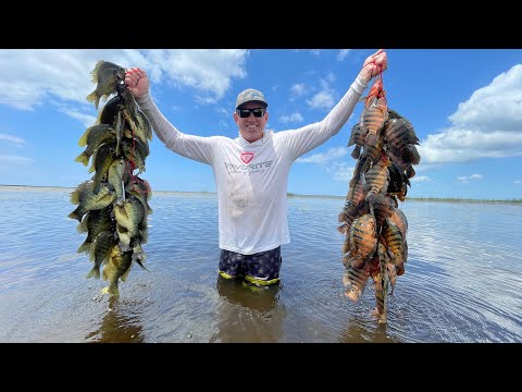 Native VS Nonnative, Shocking Results! (Catch Clean & Cook)