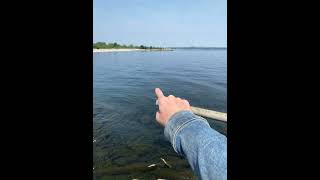 Download lagu The tommy Thompson challenge mp3 Download lagu The tommy Thompson challenge mp3