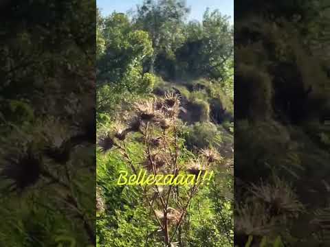 Rio Santa Lucía -paso Belastiqui, Canelones-Uruguay 🇺🇾🇺🇾🇺🇾