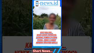 Download lagu Nenek-nenek D1p3rk0s4 Seorang Pemuda di Kebun Pisang, Suara si Nenek Menarik Perhatian Warga mp3 Download lagu Nenek-nenek D1p3rk0s4 Seorang Pemuda di Kebun Pisang, Suara si Nenek Menarik Perhatian Warga mp3
